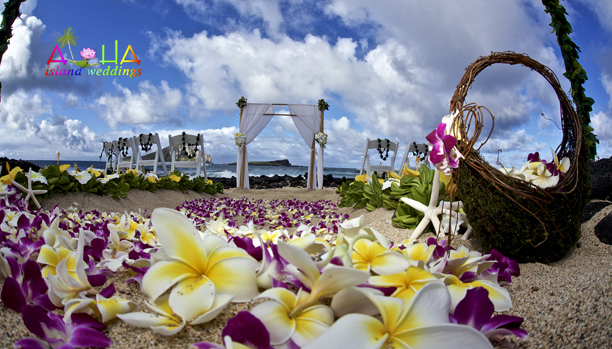 beach wedding with purple orchids and yellow plumeria theme